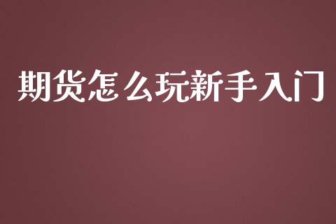 期货怎么玩新手入门_https://qh.lansai.wang_期货喊单_第1张