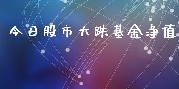 今日股市大跌基金净值_https://qh.lansai.wang_期货理财_第1张