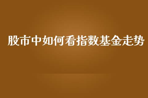 股市中如何看指数基金走势_https://qh.lansai.wang_期货理财_第1张