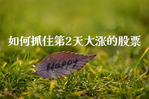 如何抓住第2天大涨的股票_https://qh.lansai.wang_期货喊单_第1张