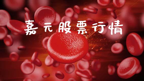嘉元股票行情_https://qh.lansai.wang_股票新闻_第1张