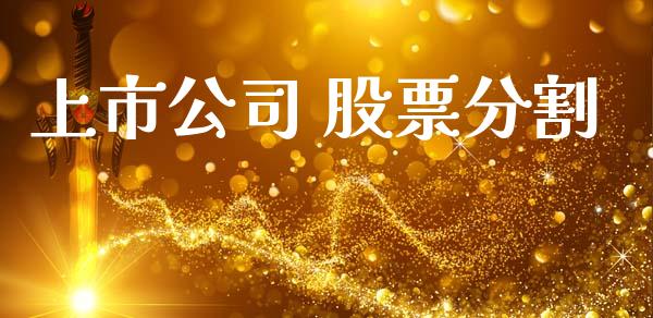上市公司 股票分割_https://qh.lansai.wang_新股数据_第1张