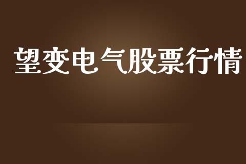 望变电气股票行情_https://qh.lansai.wang_股票新闻_第1张