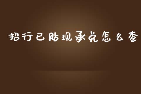 招行已贴现承兑怎么查_https://qh.lansai.wang_海康威视股票_第1张