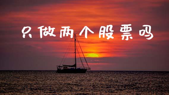只做两个股票吗_https://qh.lansai.wang_新股数据_第1张