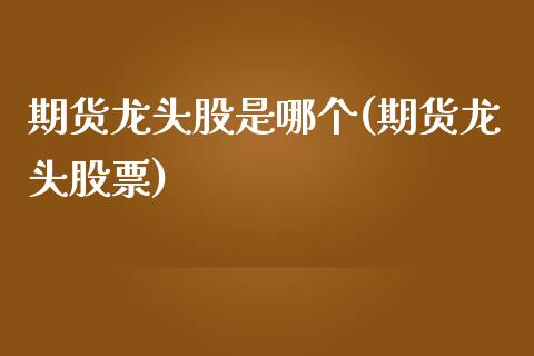 期货龙头股是哪个(期货龙头股票)_https://qh.lansai.wang_期货理财_第1张