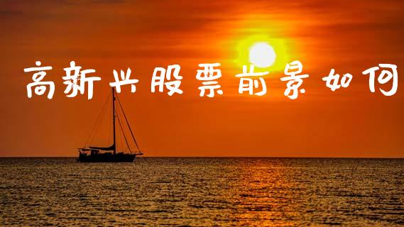 高新兴股票前景如何_https://qh.lansai.wang_期货喊单_第1张