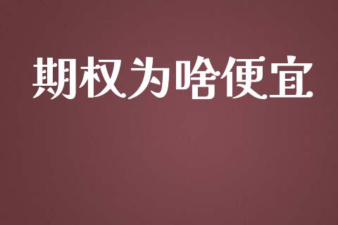 期权为啥便宜_https://qh.lansai.wang_海康威视股票_第1张