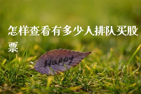 怎样查看有多少人排队买股票_https://qh.lansai.wang_新股数据_第1张