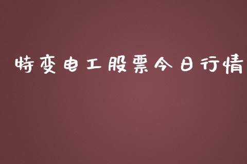 特变电工股票今日行情_https://qh.lansai.wang_期货理财_第1张