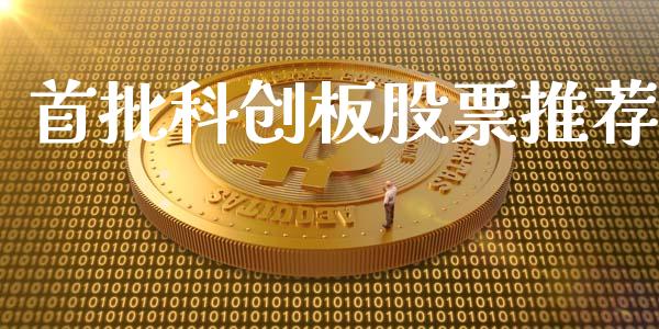 首批科创板股票推荐_https://qh.lansai.wang_期货理财_第1张