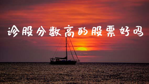 诊股分数高的股票好吗_https://qh.lansai.wang_新股数据_第1张