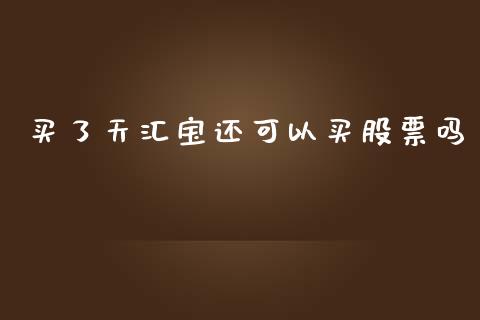 买了天汇宝还可以买股票吗_https://qh.lansai.wang_期货喊单_第1张