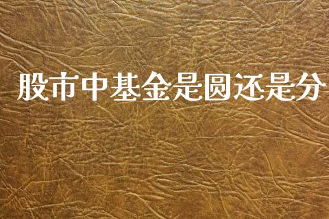 股市中基金是圆还是分_https://qh.lansai.wang_期货理财_第1张