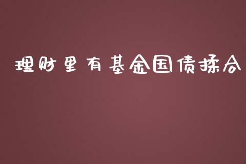 理财里有基金国债揉合_https://qh.lansai.wang_期货理财_第1张