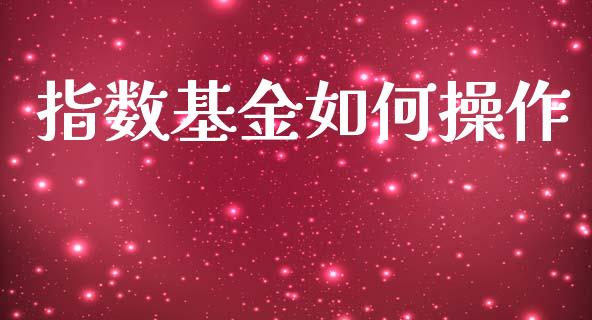 指数基金如何操作_https://qh.lansai.wang_新股数据_第1张