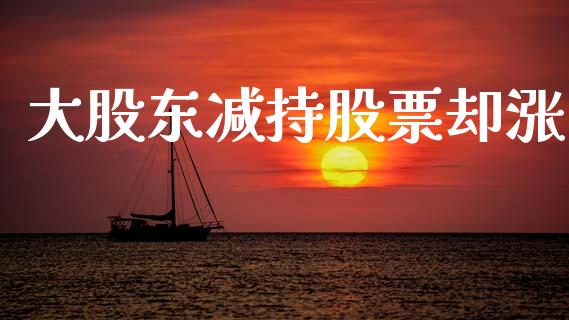 大股东减持股票却涨_https://qh.lansai.wang_新股数据_第1张