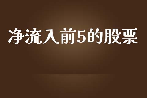净流入前5的股票_https://qh.lansai.wang_期货怎么玩_第1张