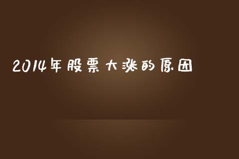 2014年股票大涨的原因_https://qh.lansai.wang_期货怎么玩_第1张