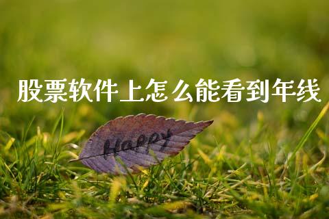 股票软件上怎么能看到年线_https://qh.lansai.wang_期货理财_第1张