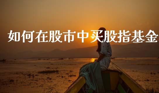 如何在股市中买股指基金_https://qh.lansai.wang_期货理财_第1张