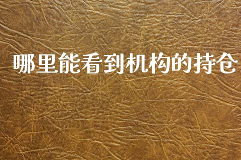 哪里能看到机构的持仓_https://qh.lansai.wang_期货喊单_第1张