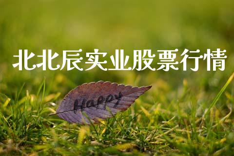 北北辰实业股票行情_https://qh.lansai.wang_期货喊单_第1张