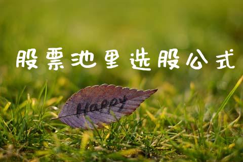 股票池里选股公式_https://qh.lansai.wang_期货怎么玩_第1张