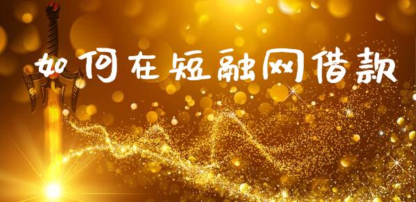 如何在短融网借款_https://qh.lansai.wang_股票技术分析_第1张