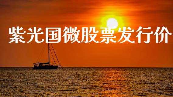紫光国微股票发行价_https://qh.lansai.wang_期货怎么玩_第1张