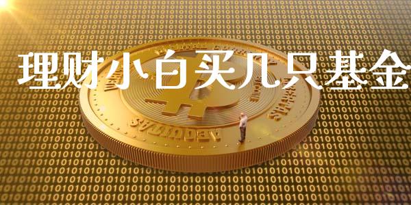 理财小白买几只基金_https://qh.lansai.wang_期货理财_第1张