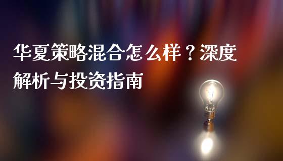 华夏策略混合怎么样？深度解析与投资指南_https://qh.lansai.wang_海康威视股票_第1张