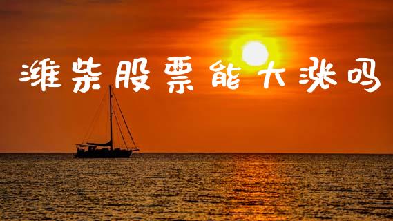 潍柴股票能大涨吗_https://qh.lansai.wang_期货怎么玩_第1张