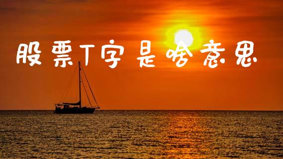 股票T字是啥意思_https://qh.lansai.wang_期货理财_第1张