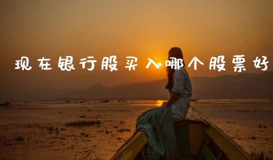 现在银行股买入哪个股票好_https://qh.lansai.wang_期货理财_第1张