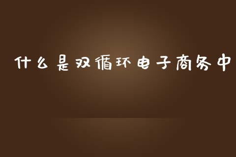 什么是双循环电子商务中_https://qh.lansai.wang_期货理财_第1张