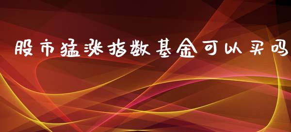 股市猛涨指数基金可以买吗_https://qh.lansai.wang_期货理财_第1张