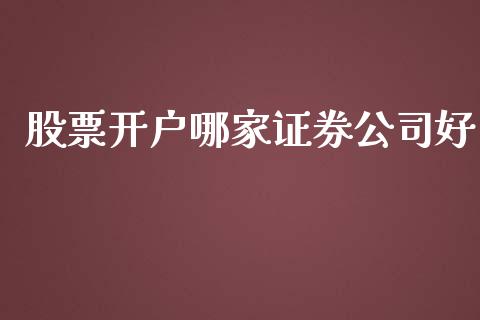 股票开户哪家证券公司好_https://qh.lansai.wang_期货怎么玩_第1张