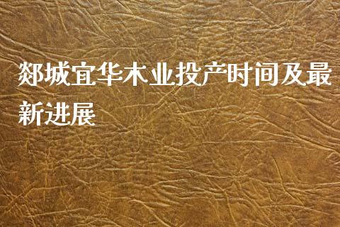 郯城宜华木业投产时间及最新进展_https://qh.lansai.wang_期货怎么玩_第1张