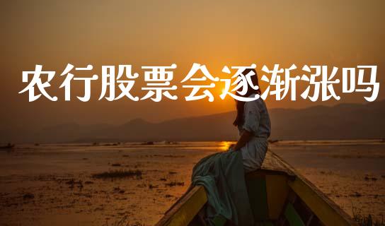 农行股票会逐渐涨吗_https://qh.lansai.wang_新股数据_第1张