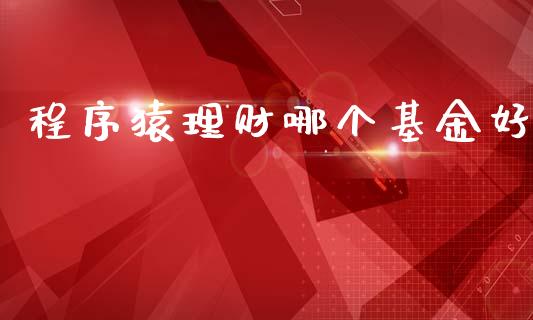 程序猿理财哪个基金好_https://qh.lansai.wang_期货理财_第1张