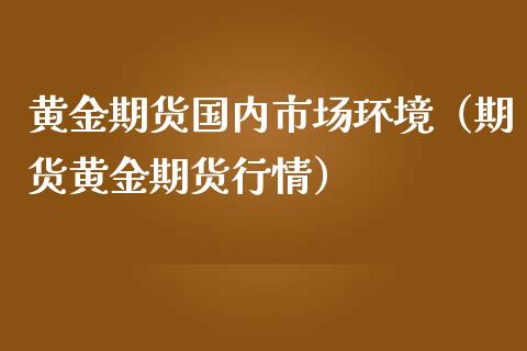 黄金期货国内市场环境（期货黄金期货行情）_https://qh.lansai.wang_期货理财_第1张