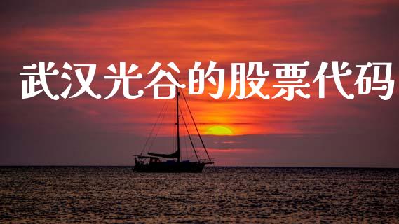 武汉光谷的股票代码_https://qh.lansai.wang_期货怎么玩_第1张