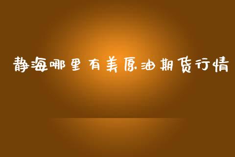 静海哪里有美原油期货行情_https://qh.lansai.wang_期货怎么玩_第1张