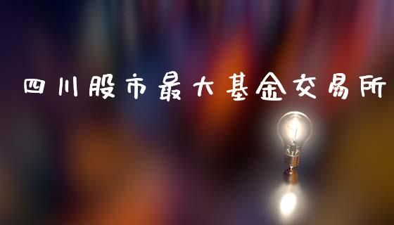 四川股市最大基金交易所_https://qh.lansai.wang_期货理财_第1张