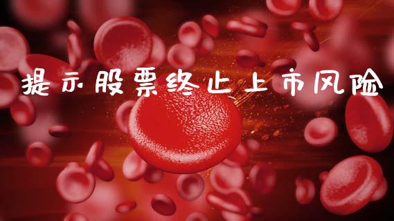 提示股票终止上市风险_https://qh.lansai.wang_期货理财_第1张