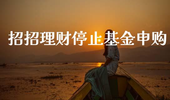 招招理财停止基金申购_https://qh.lansai.wang_期货理财_第1张