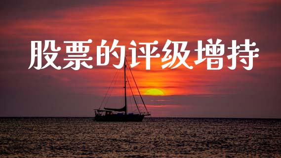 股票的评级增持_https://qh.lansai.wang_期货喊单_第1张