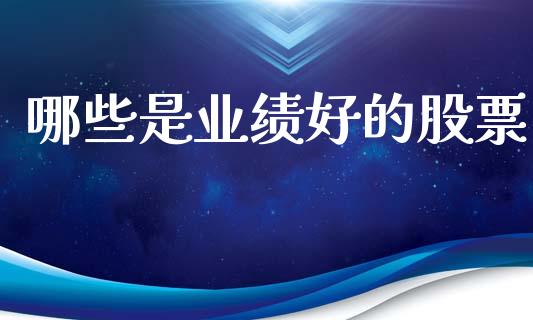 哪些是业绩好的股票_https://qh.lansai.wang_期货喊单_第1张