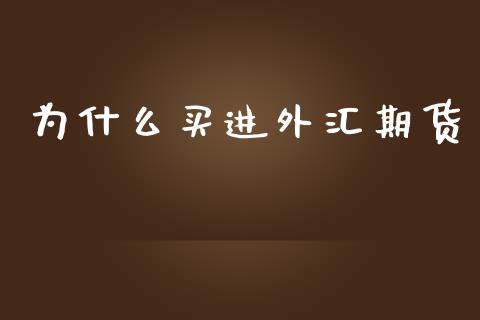 为什么买进外汇期货_https://qh.lansai.wang_期货喊单_第1张